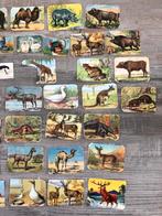 47 prenten dieren, Ophalen of Verzenden