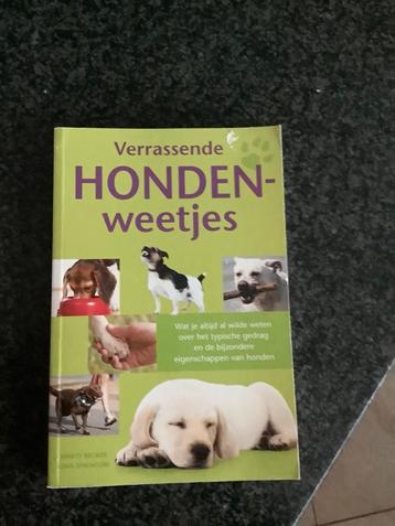 Boek honden weetjes beschikbaar voor biedingen