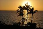 Last seconde app.direct aan het strand Costa Adeje, Tenerife, Recreatiepark, 1 slaapkamer, Appartement, Aan zee