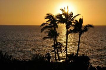 Last Minute app.direct aan het strand Costa Adeje, Tenerife beschikbaar voor biedingen
