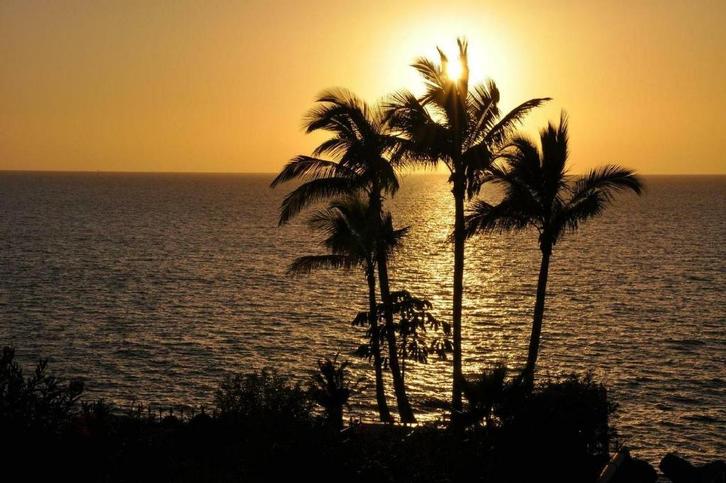 Last Minute app.direct aan het strand Costa Adeje, Tenerife, Vakantie, Vakantiehuizen | Overige landen, Appartement, Recreatiepark