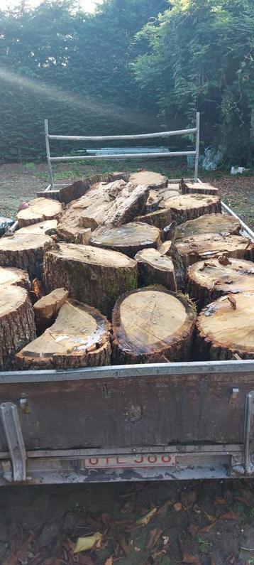 Dubbel lading eikenhout en gewoon hout te koop., Tuin en Terras, Brandhout, Ophalen, Eikenhout