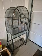 Grote vogelkooi nieuwstaat, Dieren en Toebehoren, Ophalen, Vogelkooi