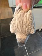 Kanaries agaat opaal wit, Dieren en Toebehoren, Mannelijk, Kleurkanarie