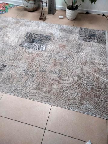2 gelijknamige tapijten.heel dun ..afm 155 op 230 cm
