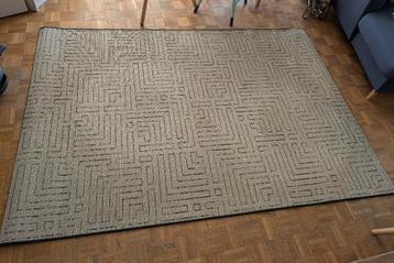 Carpet / Tapijt beschikbaar voor biedingen