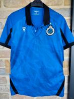Nieuwe polo Club Brugge, Maat L, Ophalen of Verzenden, Nieuw, Shirt