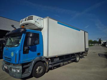 Camion réfrigéré, Autos, Achat, Beige, Entreprise, Iveco