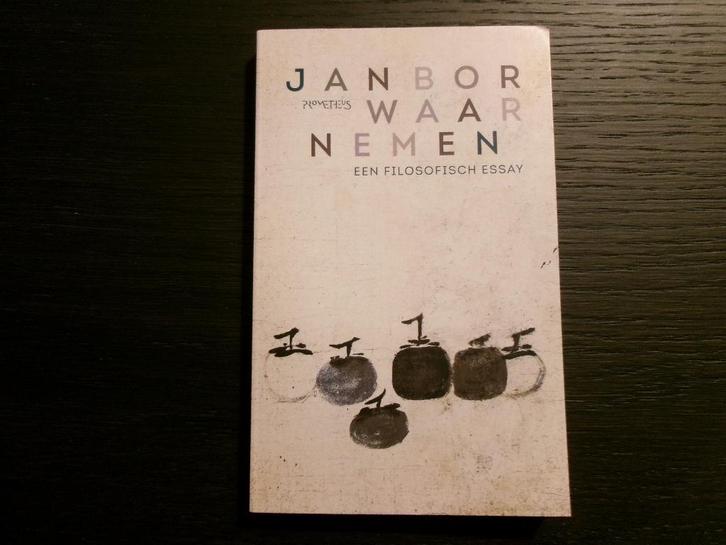 Waarnemen  -Een filosofisch essay-  Jan Bor, Boeken, Filosofie, Ophalen of Verzenden