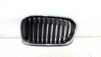 GRILLEROOSTER LINKS BMW 1 serie (F20) (7371747), Gebruikt, Links, BMW