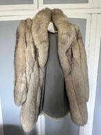 Véritable manteau de fourrure renard argenté, Kleding | Dames, Jassen | Winter, Ophalen of Verzenden, Gedragen, Maat 42/44 (L)