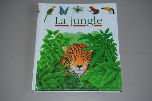 La jungle René Mettler Editions Gallimard Très bon état, Boeken, Kinderboeken | Kleuters, Gelezen, Non-fictie, 4 jaar, Jongen of Meisje
