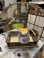 Cage oiseaux, Animaux & Accessoires, Enlèvement, Utilisé, Cage à oiseaux