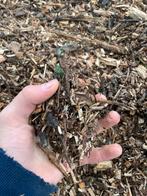 Hakselhout €15 per kuub, Tuin en Terras, Aarde en Mest, Ophalen