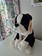 Hond knuffel goede staat, Kinderen en Baby's, Speelgoed | Knuffels en Pluche, Ophalen of Verzenden, Gebruikt, Hond