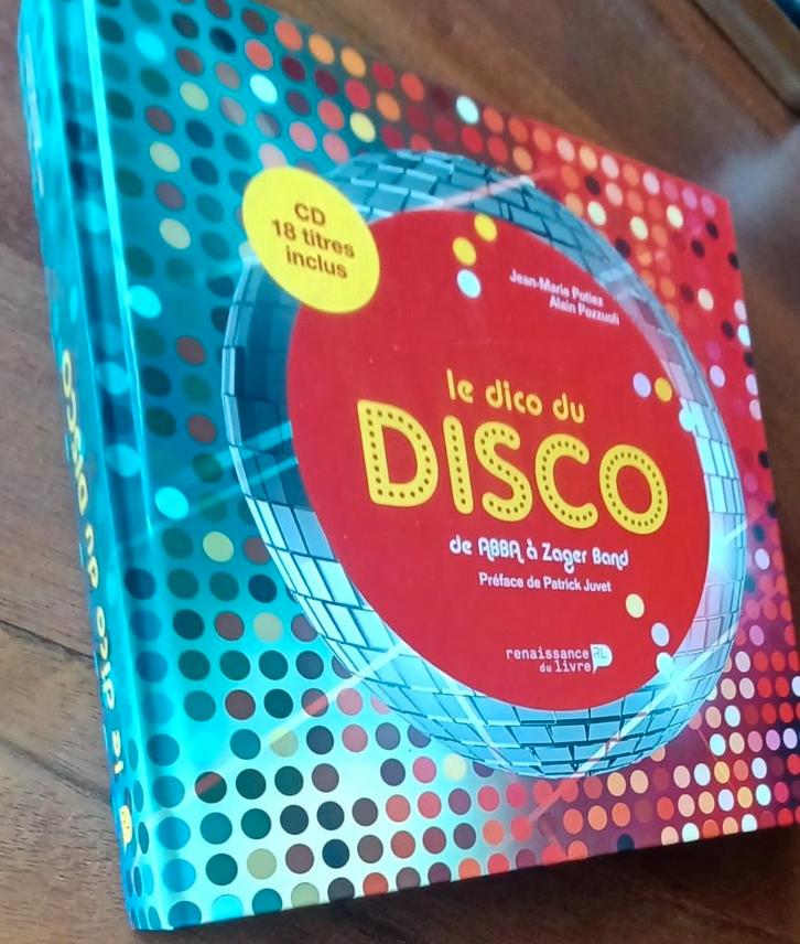 Le dico du DISCO // 2013// naslagwerk over discomuziek//, Livres, Musique, Enlèvement ou Envoi