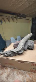 Lots racines aquarium, Animaux & Accessoires, Poissons | Aquariums & Accessoires, Enlèvement