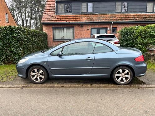 Mooie Peugeot 307 cc eerste eigenaar - ongevalvrij, Auto's, Peugeot, Particulier, ABS, Airbags, Airconditioning, Alarm, Boordcomputer