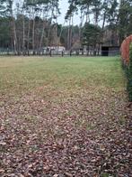 Weide met stalling en ruime paddock en buitenpiste, Stalling