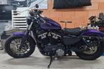 Harley Davidson sportster iron 883, Motoren, Motoren | Harley-Davidson, Particulier