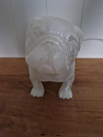 Engelse bulldog  beeld met licht 