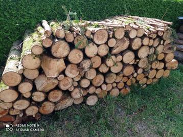 Bois de Chauffage Epicéa vert en 1m beschikbaar voor biedingen