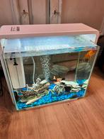 aguarium 60 euro 60/32/40, Dieren en Toebehoren, Ophalen of Verzenden, Zo goed als nieuw