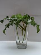 Conische vaas. Hoogte : 25 cm., Huis en Inrichting, Ophalen of Verzenden, Zo goed als nieuw, Glas