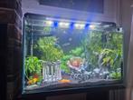 aquarium, Dieren en Toebehoren, Ophalen, Zo goed als nieuw