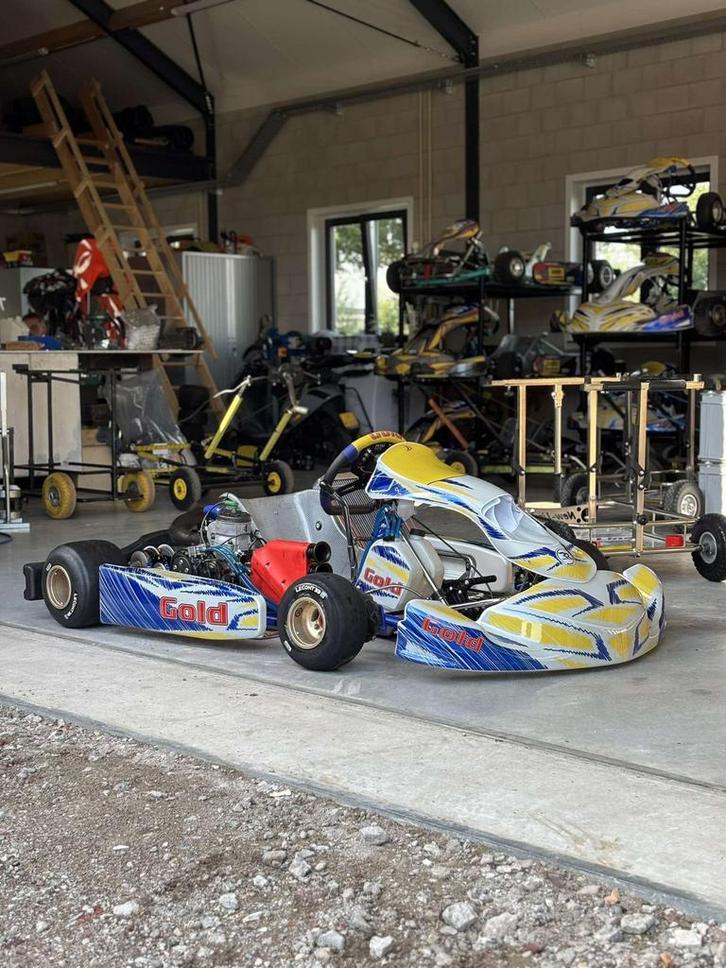 Gold kart, Sport en Fitness, Karting, Zo goed als nieuw, Kart, Ophalen