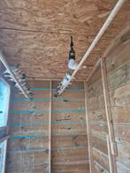 Zebravinken, Dieren en Toebehoren