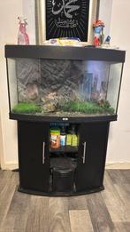 Aquarium 50 euro mag weg, Dieren en Toebehoren, Ophalen, Zo goed als nieuw