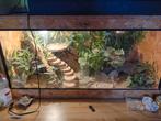 Terarium 2geckos, Ophalen, Zo goed als nieuw