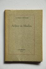 ACHTER DE BLINDEN Andries DHOEVE Herne Galmaarden Edingen, Boeken, Ophalen of Verzenden, Gelezen