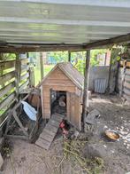 4 poules pondeuses et une cage + clôture, Utilisé, Enlèvement ou Envoi