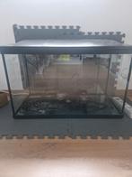 Aquarium super fish start 100 incl. toebehoren, Dieren en Toebehoren, Ophalen, Zo goed als nieuw