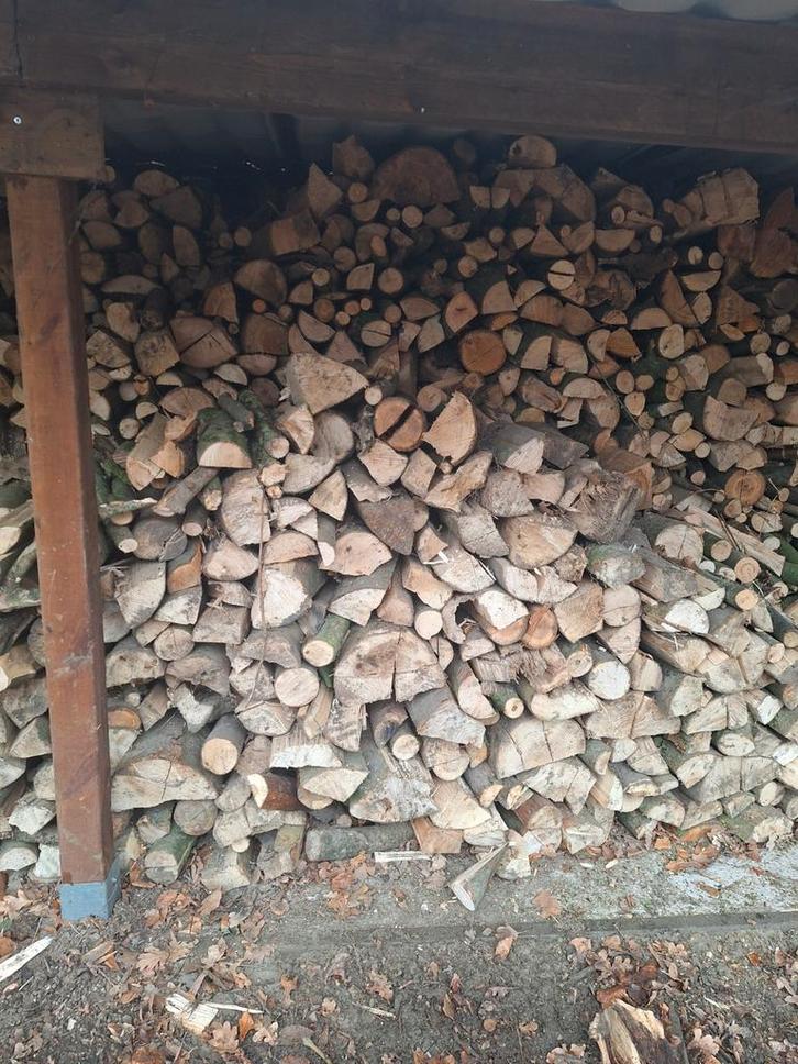 Brandhout, Jardin & Terrasse, Bois de chauffage, Enlèvement