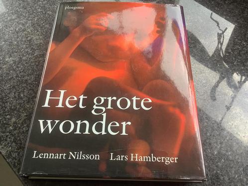 Lars Hamberger - Het grote wonder, Boeken, Zwangerschap en Opvoeding, Nieuw, Zwangerschap en Bevalling, Ophalen of Verzenden