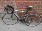 Koersfiets Ridley maat 53, Fietsen en Brommers, Fietsen | Racefietsen, 28 inch, Gebruikt, Heren, Aluminium