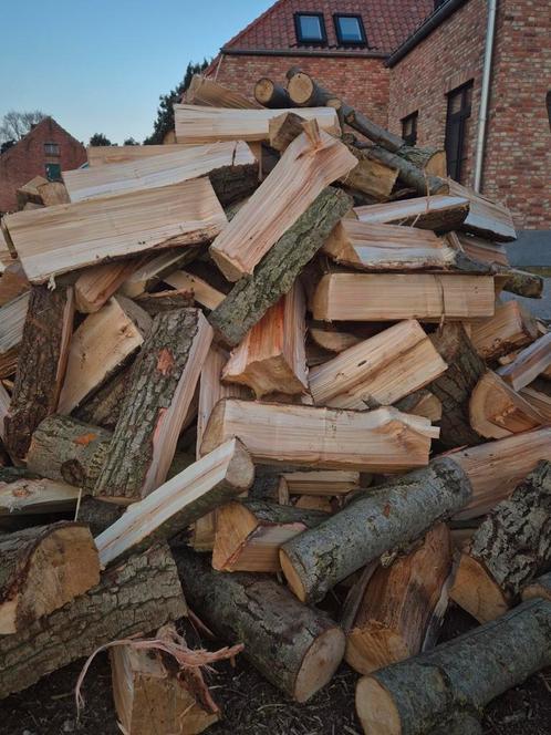 Vers brandhout acacia en es - Gekliefd, Tuin en Terras, Brandhout, Ophalen