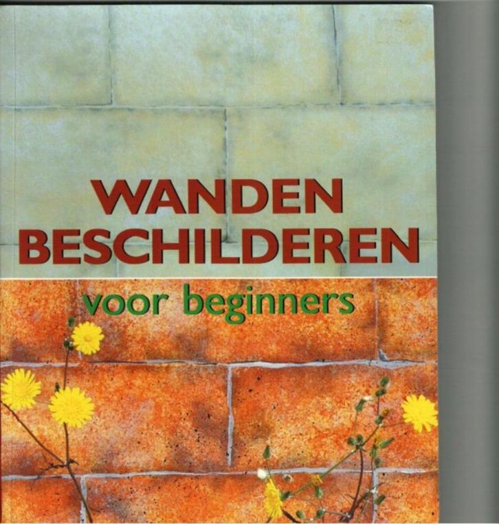 Wanden beschilderen voor beginners reyes pujol- xicoy 175 bl, Boeken, Hobby en Vrije tijd, Zo goed als nieuw, Ophalen of Verzenden