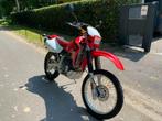 Honda / Dall'Ara XR650R *E Starter*, Motos, 1 cylindre, Particulier, 649 cm³, Plus de 35 kW