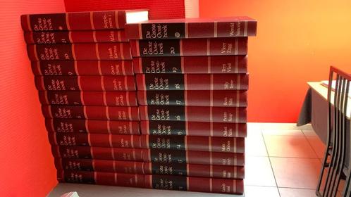 Encyclopedie set De Grote Oosthoek (7e uitgave), Boeken, Encyclopedieën, Zo goed als nieuw, Complete serie, Overige onderwerpen
