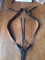 Kincade elastisch borsttuig met martingaal, Ophalen