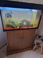Aquarium met kast, Dieren en Toebehoren, Ophalen, Zo goed als nieuw