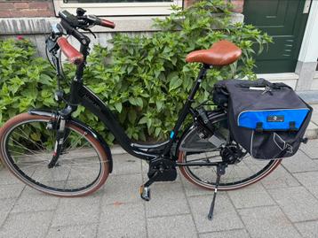 Riese & Müller Swing Blue Label elektrische fiets beschikbaar voor biedingen