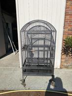 Cage pour perroquets ou perruches, Animaux & Accessoires, Enlèvement, Comme neuf, Cage à oiseaux