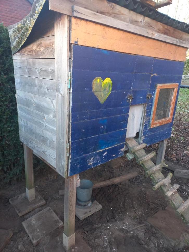 Kippenhok - groot stevig model + schuilplaats, Dieren en Toebehoren, Pluimvee | Toebehoren, Gebruikt, Kippenhok of Kippenren, Ophalen