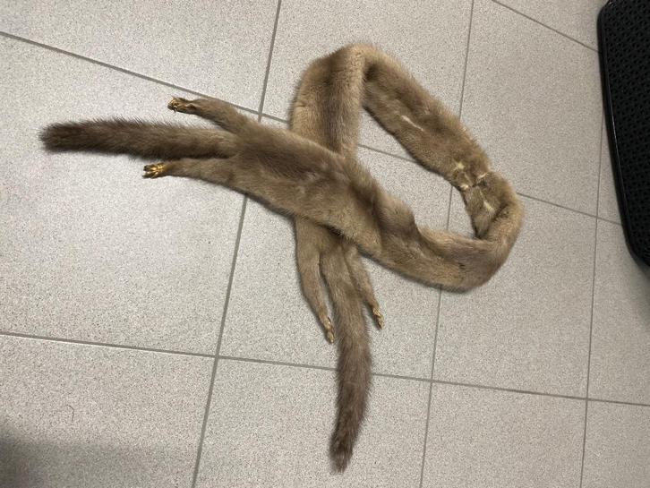 Nerts sjaal, Kleding | Dames, Mutsen, Sjaals en Handschoenen, Zo goed als nieuw, Sjaal, Ophalen