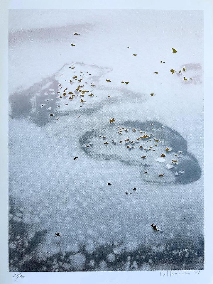 HUGO HEYRMAN - Zeefdruk / SIG - Zwarte Panter - 63 x 44 cm, Antiek en Kunst, Kunst | Litho's en Zeefdrukken, Verzenden